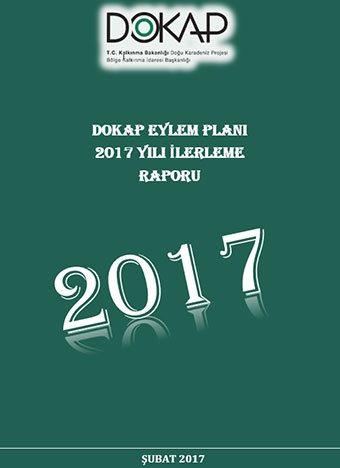 2017 Yılı DOKAP Eylem Planı İlerleme Raporu