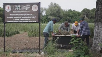 Isırgan Belgeseli - DOKAP BKİ