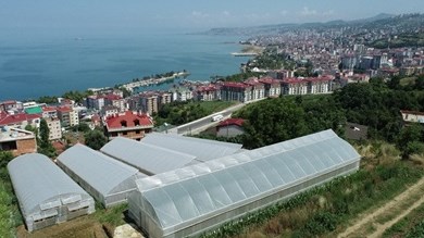 Küçük Resim