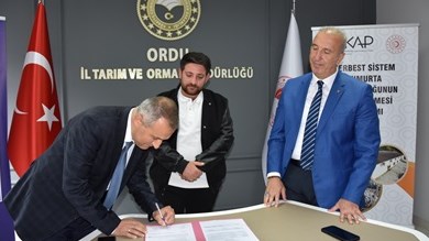 Küçük Resim